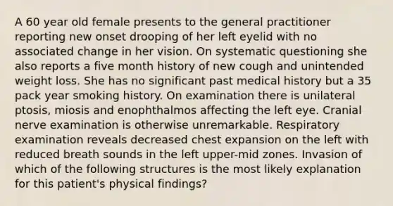 A 60 year old female presents to the general practitioner reporting new onset drooping of her left eyelid with no associated change in her vision. On systematic questioning she also reports a five month history of new cough and unintended weight loss. She has no significant past medical history but a 35 pack year smoking history. On examination there is unilateral ptosis, miosis and enophthalmos affecting the left eye. Cranial nerve examination is otherwise unremarkable. Respiratory examination reveals decreased chest expansion on the left with reduced breath sounds in the left upper-mid zones. Invasion of which of the following structures is the most likely explanation for this patient's physical findings?