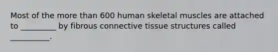 Most of the more than 600 human skeletal muscles are attached to _________ by fibrous connective tissue structures called __________.