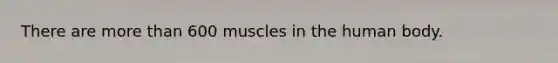 There are <a href='https://www.questionai.com/knowledge/keWHlEPx42-more-than' class='anchor-knowledge'>more than</a> 600 muscles in the human body.