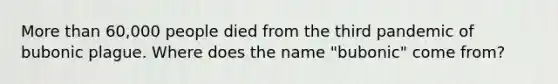 More than 60,000 people died from the third pandemic of bubonic plague. Where does the name "bubonic" come from?