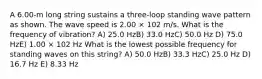 A 6.00-m long string sustains a three-loop standing wave pattern as shown. The wave speed is 2.00 × 102 m/s. What is the frequency of vibration? A) 25.0 HzB) 33.0 HzC) 50.0 Hz D) 75.0 HzE) 1.00 × 102 Hz What is the lowest possible frequency for standing waves on this string? A) 50.0 HzB) 33.3 HzC) 25.0 Hz D) 16.7 Hz E) 8.33 Hz