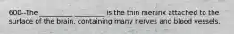 600--The __________ _________ is the thin meninx attached to the surface of the brain, containing many nerves and blood vessels.