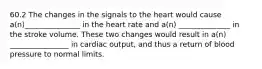 60.2 The changes in the signals to the heart would cause a(n)_______________ in the heart rate and a(n) ______________ in the stroke volume. These two changes would result in a(n) ________________ in cardiac output, and thus a return of blood pressure to normal limits.