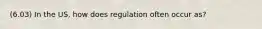 (6.03) In the US, how does regulation often occur as?