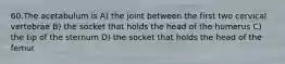 60.The acetabulum is A) the joint between the first two cervical vertebrae B) the socket that holds the head of the humerus C) the tip of the sternum D) the socket that holds the head of the femur