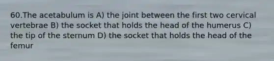 60.The acetabulum is A) the joint between the first two cervical vertebrae B) the socket that holds the head of the humerus C) the tip of the sternum D) the socket that holds the head of the femur