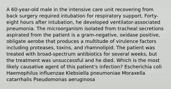 A 60-year-old male in the intensive care unit recovering from back surgery required intubation for respiratory support. Forty-eight hours after intubation, he developed ventilator-associated pneumonia. The microorganism isolated from tracheal secretions aspirated from the patient is a gram-negative, oxidase positive, obligate aerobe that produces a multitude of virulence factors including proteases, toxins, and rhamnolipid. The patient was treated with broad-spectrum antibiotics for several weeks, but the treatment was unsuccessful and he died. Which is the most likely causative agent of this patient's infection? Escherichia coli Haemophilus influenzae Klebsiella pneumoniae Moraxella catarrhalis Pseudomonas aeruginosa