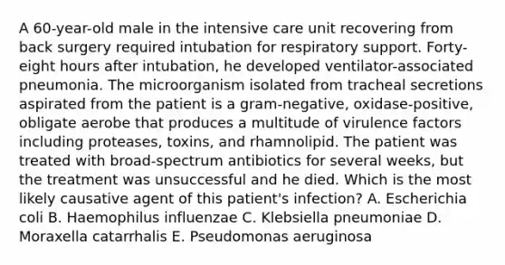 A 60-year-old male in the intensive care unit recovering from back surgery required intubation for respiratory support. Forty-eight hours after intubation, he developed ventilator-associated pneumonia. The microorganism isolated from tracheal secretions aspirated from the patient is a gram-negative, oxidase-positive, obligate aerobe that produces a multitude of virulence factors including proteases, toxins, and rhamnolipid. The patient was treated with broad-spectrum antibiotics for several weeks, but the treatment was unsuccessful and he died. Which is the most likely causative agent of this patient's infection? A. Escherichia coli B. Haemophilus influenzae C. Klebsiella pneumoniae D. Moraxella catarrhalis E. Pseudomonas aeruginosa