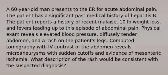 A 60-year-old man presents to the ER for acute abdominal pain. The patient has a significant past medical history of hepatitis B. The patient reports a history of recent malaise, 10 lb weight loss, and fevers leading up to this episode of abdominal pain. Physical exam reveals elevated blood pressure, diffusely tender abdomen, and a rash on the patient's legs. Computed tomography with IV contrast of the abdomen reveals microaneurysms with sudden cutoffs and evidence of mesenteric ischemia. What description of the rash would be consistent with the suspected diagnosis?