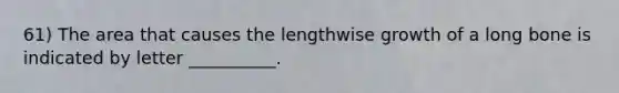 61) The area that causes the lengthwise growth of a long bone is indicated by letter __________.