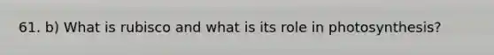 61. b) What is rubisco and what is its role in photosynthesis?