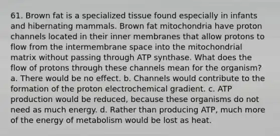 61. Brown fat is a specialized tissue found especially in infants and hibernating mammals. Brown fat mitochondria have proton channels located in their inner membranes that allow protons to flow from the intermembrane space into the mitochondrial matrix without passing through ATP synthase. What does the flow of protons through these channels mean for the organism? a. There would be no effect. b. Channels would contribute to the formation of the proton electrochemical gradient. c. ATP production would be reduced, because these organisms do not need as much energy. d. Rather than producing ATP, much more of the energy of metabolism would be lost as heat.