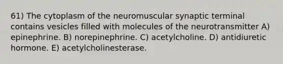 61) The cytoplasm of the neuromuscular synaptic terminal contains vesicles filled with molecules of the neurotransmitter A) epinephrine. B) norepinephrine. C) acetylcholine. D) antidiuretic hormone. E) acetylcholinesterase.