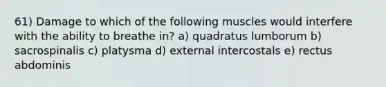 61) Damage to which of the following muscles would interfere with the ability to breathe in? a) quadratus lumborum b) sacrospinalis c) platysma d) external intercostals e) rectus abdominis