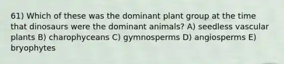 61) Which of these was the dominant plant group at the time that dinosaurs were the dominant animals? A) seedless vascular plants B) charophyceans C) gymnosperms D) angiosperms E) bryophytes