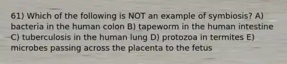 61) Which of the following is NOT an example of symbiosis? A) bacteria in the human colon B) tapeworm in the human intestine C) tuberculosis in the human lung D) protozoa in termites E) microbes passing across the placenta to the fetus