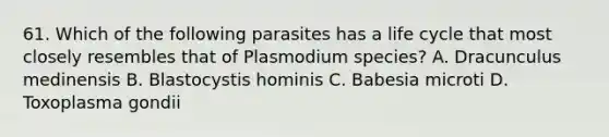 61. Which of the following parasites has a life cycle that most closely resembles that of Plasmodium species? A. Dracunculus medinensis B. Blastocystis hominis C. Babesia microti D. Toxoplasma gondii