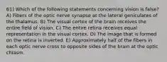 61) Which of the following statements concerning vision is false? A) Fibers of the optic nerve synapse at the lateral geniculates of the thalamus. B) The visual cortex of the brain receives the entire field of vision. C) The entire retina receives equal representation in the visual cortex. D) The image that is formed on the retina is inverted. E) Approximately half of the fibers in each optic nerve cross to opposite sides of the brain at the optic chiasm.