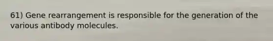 61) Gene rearrangement is responsible for the generation of the various antibody molecules.