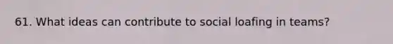 61. What ideas can contribute to social loafing in teams?