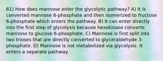 61) How does mannose enter the glycolytic pathway? A) It is converted mannose 6-phosphate and then isomerized to fructose 6-phosphate which enters the pathway. B) It can enter directly into the first step of glycolysis because hexokinase converts mannose to glucose 6-phosphate. C) Mannose is first split into two trioses that are directly converted to glyceraldehyde 3-phosphate. D) Mannose is not metabolized via glycolysis. It enters a separate pathway.