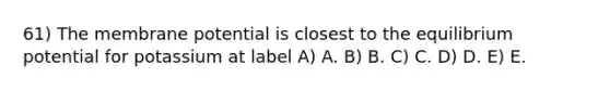 61) The membrane potential is closest to the equilibrium potential for potassium at label A) A. B) B. C) C. D) D. E) E.