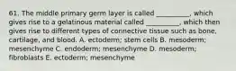 61. The middle primary germ layer is called __________, which gives rise to a gelatinous material called __________, which then gives rise to different types of connective tissue such as bone, cartilage, and blood. A. ectoderm; stem cells B. mesoderm; mesenchyme C. endoderm; mesenchyme D. mesoderm; fibroblasts E. ectoderm; mesenchyme