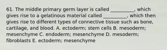 61. The middle primary germ layer is called __________, which gives rise to a gelatinous material called __________, which then gives rise to different types of connective tissue such as bone, cartilage, and blood. A. ectoderm; stem cells B. mesoderm; mesenchyme C. endoderm; mesenchyme D. mesoderm; fibroblasts E. ectoderm; mesenchyme