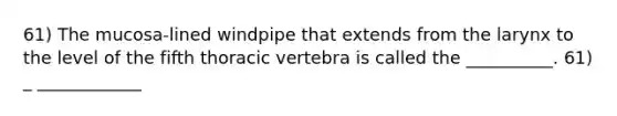 61) The mucosa-lined windpipe that extends from the larynx to the level of the fifth thoracic vertebra is called the __________. 61) _ ____________