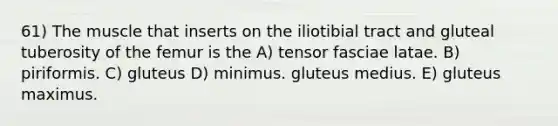 61) The muscle that inserts on the iliotibial tract and gluteal tuberosity of the femur is the A) tensor fasciae latae. B) piriformis. C) gluteus D) minimus. gluteus medius. E) gluteus maximus.