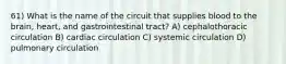 61) What is the name of the circuit that supplies blood to the brain, heart, and gastrointestinal tract? A) cephalothoracic circulation B) cardiac circulation C) systemic circulation D) pulmonary circulation