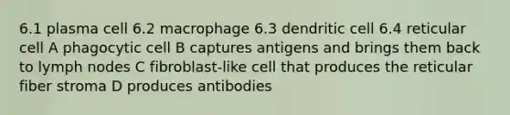 6.1 plasma cell 6.2 macrophage 6.3 dendritic cell 6.4 reticular cell A phagocytic cell B captures antigens and brings them back to lymph nodes C fibroblast-like cell that produces the reticular fiber stroma D produces antibodies