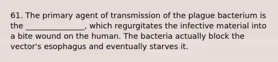 61. The primary agent of transmission of the plague bacterium is the _______________, which regurgitates the infective material into a bite wound on the human. The bacteria actually block the vector's esophagus and eventually starves it.