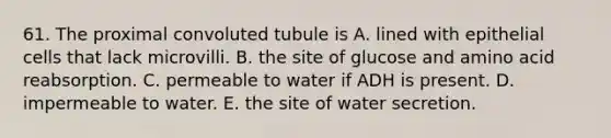 61. The proximal convoluted tubule is A. lined with epithelial cells that lack microvilli. B. the site of glucose and amino acid reabsorption. C. permeable to water if ADH is present. D. impermeable to water. E. the site of water secretion.