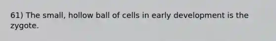 61) The small, hollow ball of cells in early development is the zygote.