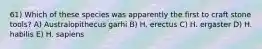 61) Which of these species was apparently the first to craft stone tools? A) Australopithecus garhi B) H. erectus C) H. ergaster D) H. habilis E) H. sapiens
