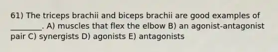 61) The triceps brachii and biceps brachii are good examples of ________. A) muscles that flex the elbow B) an agonist-antagonist pair C) synergists D) agonists E) antagonists