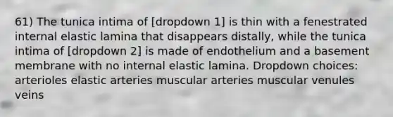 61) The tunica intima of [dropdown 1] is thin with a fenestrated internal elastic lamina that disappears distally, while the tunica intima of [dropdown 2] is made of endothelium and a basement membrane with no internal elastic lamina. Dropdown choices: arterioles elastic arteries muscular arteries muscular venules veins