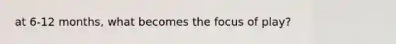 at 6-12 months, what becomes the focus of play?