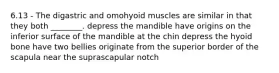 6.13 - The digastric and omohyoid muscles are similar in that they both ________. depress the mandible have origins on the inferior surface of the mandible at the chin depress the hyoid bone have two bellies originate from the superior border of the scapula near the suprascapular notch