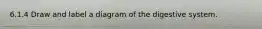 6.1.4 Draw and label a diagram of the digestive system.