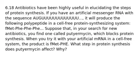 6.18 Antibiotics have been highly useful in elucidating the steps of protein synthesis. If you have an artificial messenger RNA with the sequence AUGUUUUUUUUUUUUU..., it will produce the following polypeptide in a cell-free protein-synthesizing system: fMet-Phe-Phe-Phe... Suppose that, in your search for new antibiotics, you find one called putyermycin, which blocks protein synthesis. When you try it with your artificial mRNA in a cell-free system, the product is fMet-PHE. What step in protein synthesis does putyermycin affect? Why?