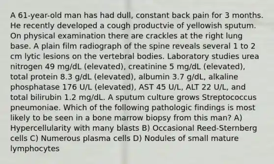 A 61-year-old man has had dull, constant back pain for 3 months. He recently developed a cough productvie of yellowish sputum. On physical examination there are crackles at the right lung base. A plain film radiograph of the spine reveals several 1 to 2 cm lytic lesions on the vertebral bodies. Laboratory studies urea nitrogen 49 mg/dL (elevated), creatinine 5 mg/dL (elevated), total protein 8.3 g/dL (elevated), albumin 3.7 g/dL, alkaline phosphatase 176 U/L (elevated), AST 45 U/L, ALT 22 U/L, and total bilirubin 1.2 mg/dL. A sputum culture grows Streptococcus pneumoniae. Which of the following pathologic findings is most likely to be seen in a bone marrow biopsy from this man? A) Hypercellularity with many blasts B) Occasional Reed-Sternberg cells C) Numerous plasma cells D) Nodules of small mature lymphocytes