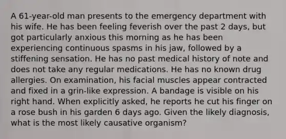 A 61-year-old man presents to the emergency department with his wife. He has been feeling feverish over the past 2 days, but got particularly anxious this morning as he has been experiencing continuous spasms in his jaw, followed by a stiffening sensation. He has no past medical history of note and does not take any regular medications. He has no known drug allergies. On examination, his facial muscles appear contracted and fixed in a grin-like expression. A bandage is visible on his right hand. When explicitly asked, he reports he cut his finger on a rose bush in his garden 6 days ago. Given the likely diagnosis, what is the most likely causative organism?