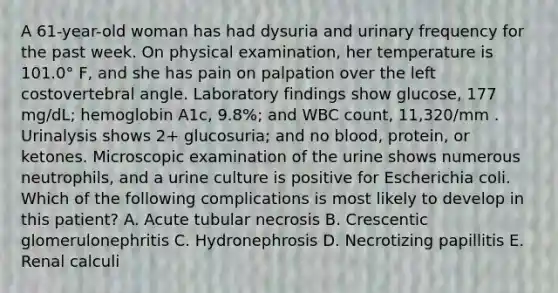 A 61-year-old woman has had dysuria and urinary frequency for the past week. On physical examination, her temperature is 101.0° F, and she has pain on palpation over the left costovertebral angle. Laboratory findings show glucose, 177 mg/dL; hemoglobin A1c, 9.8%; and WBC count, 11,320/mm . Urinalysis shows 2+ glucosuria; and no blood, protein, or ketones. Microscopic examination of the urine shows numerous neutrophils, and a urine culture is positive for Escherichia coli. Which of the following complications is most likely to develop in this patient? A. Acute tubular necrosis B. Crescentic glomerulonephritis C. Hydronephrosis D. Necrotizing papillitis E. Renal calculi