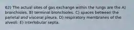 62) The actual sites of gas exchange within the lungs are the A) bronchioles. B) terminal bronchioles. C) spaces between the parietal and visceral pleura. D) respiratory membranes of the alveoli. E) interlobular septa.