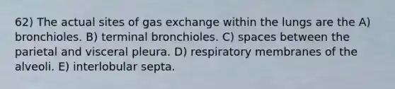 62) The actual sites of gas exchange within the lungs are the A) bronchioles. B) terminal bronchioles. C) spaces between the parietal and visceral pleura. D) respiratory membranes of the alveoli. E) interlobular septa.