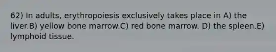 62) In adults, erythropoiesis exclusively takes place in A) the liver.B) yellow bone marrow.C) red bone marrow. D) the spleen.E) lymphoid tissue.