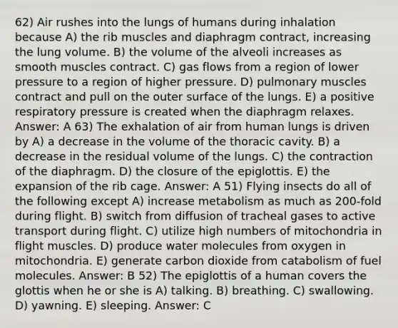 62) Air rushes into the lungs of humans during inhalation because A) the rib muscles and diaphragm contract, increasing the lung volume. B) the volume of the alveoli increases as smooth muscles contract. C) gas flows from a region of lower pressure to a region of higher pressure. D) pulmonary muscles contract and pull on the outer surface of the lungs. E) a positive respiratory pressure is created when the diaphragm relaxes. Answer: A 63) The exhalation of air from human lungs is driven by A) a decrease in the volume of the thoracic cavity. B) a decrease in the residual volume of the lungs. C) the contraction of the diaphragm. D) the closure of the epiglottis. E) the expansion of the rib cage. Answer: A 51) Flying insects do all of the following except A) increase metabolism as much as 200-fold during flight. B) switch from diffusion of tracheal gases to active transport during flight. C) utilize high numbers of mitochondria in flight muscles. D) produce water molecules from oxygen in mitochondria. E) generate carbon dioxide from catabolism of fuel molecules. Answer: B 52) The epiglottis of a human covers the glottis when he or she is A) talking. B) breathing. C) swallowing. D) yawning. E) sleeping. Answer: C