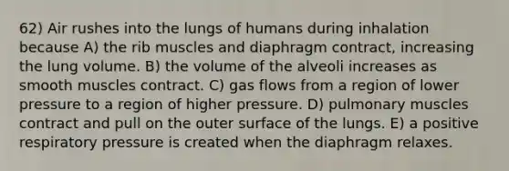 62) Air rushes into the lungs of humans during inhalation because A) the rib muscles and diaphragm contract, increasing the lung volume. B) the volume of the alveoli increases as smooth muscles contract. C) gas flows from a region of lower pressure to a region of higher pressure. D) pulmonary muscles contract and pull on the outer surface of the lungs. E) a positive respiratory pressure is created when the diaphragm relaxes.